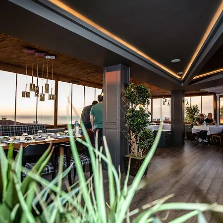 The North 特拉布宗